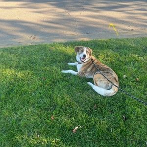 Meet your Posher, Austin